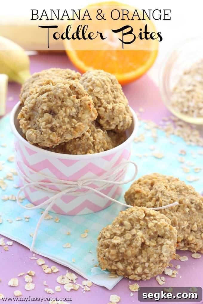 Banana and Orange Oat Bites: Toddler Snack Recipe 9 Banana & Orange Oat Toddler Bites pinterest pin