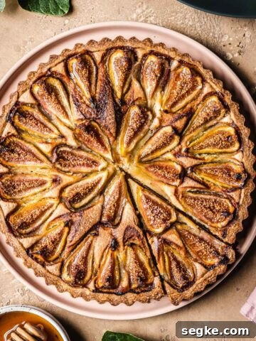 Nutella Crostata: Italian Hazelnut Chocolate Tart Recipe 23 Tarte aux Figues (French Fig Tart)