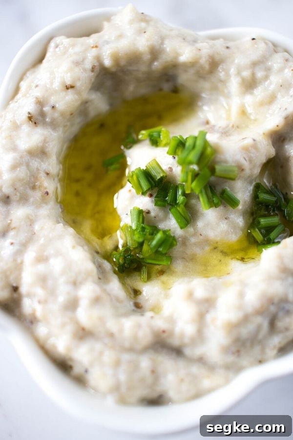8 Authentic Greek Appetizer Recipes to Make at Home 2 Greek Appetizers - Melitzanosalata