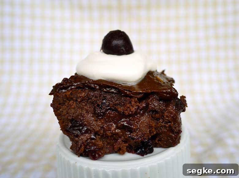 Black Forest Brownies (paleo, gluten-free) plated