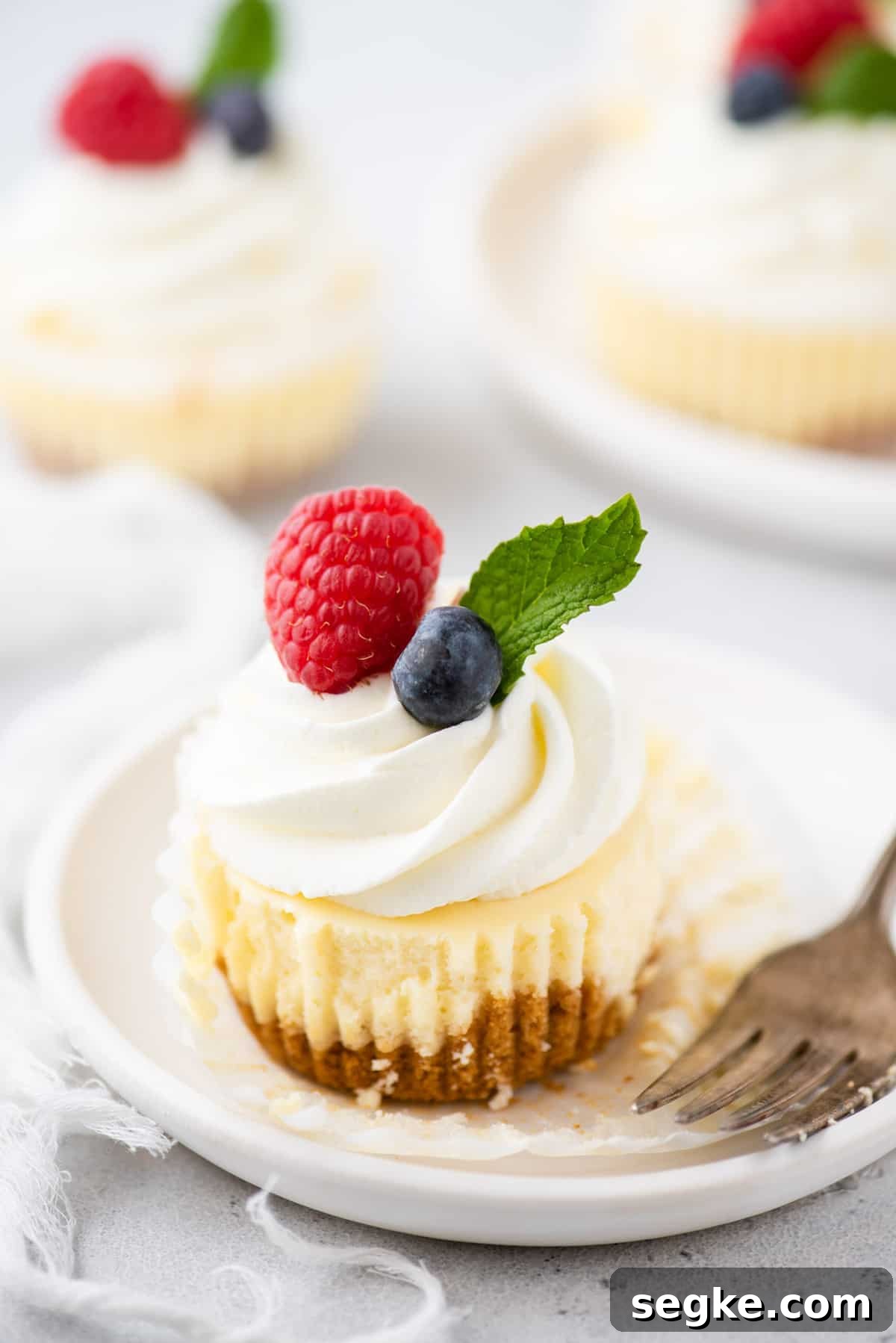 No-Bake Mini Cheesecake Bites Recipe 2 Mini cheesecake on plate with cupcake wrapper peeled from edges