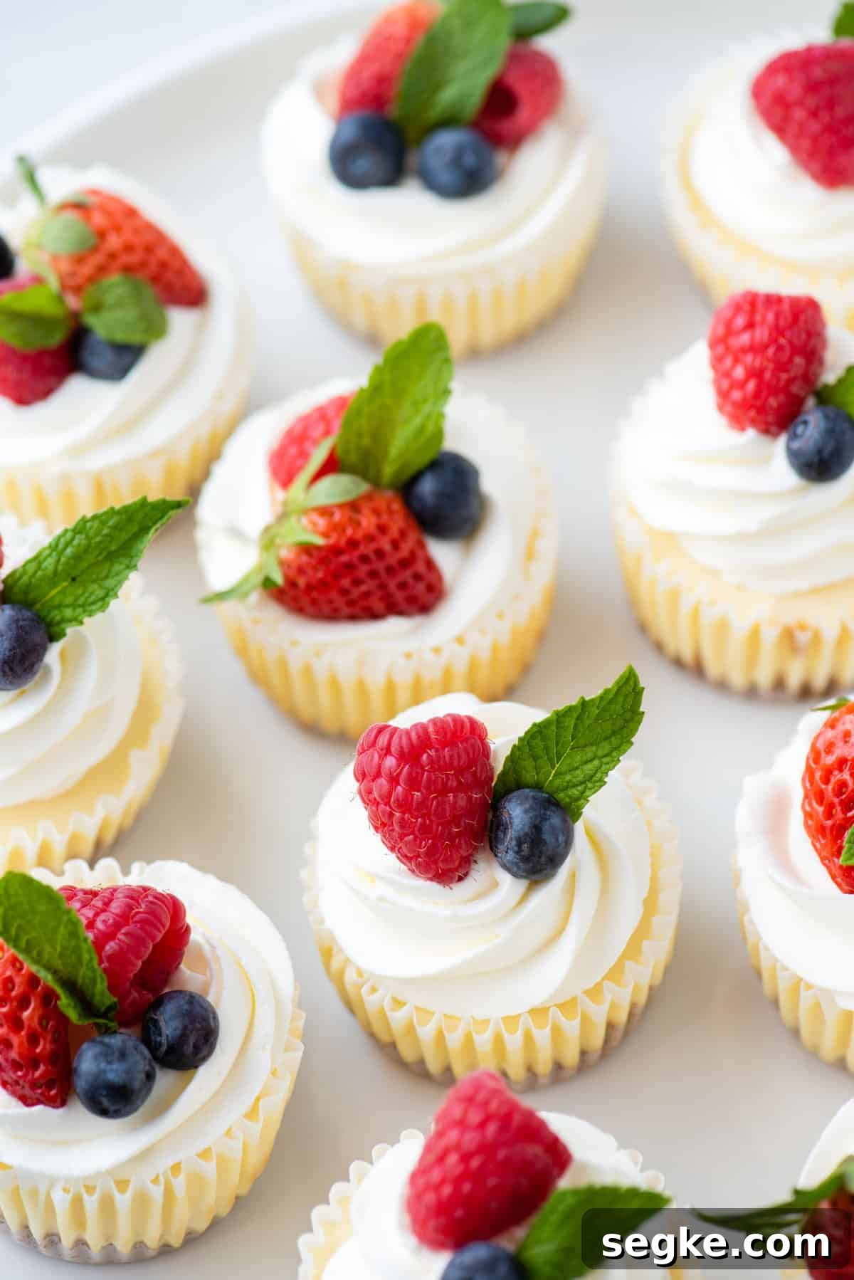 No-Bake Mini Cheesecake Bites Recipe 4 img 41943 3