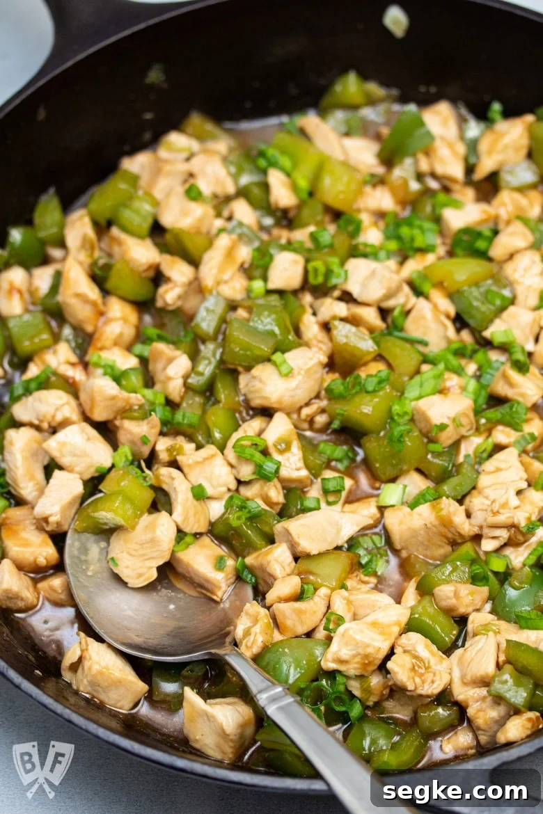 Soy-Ginger Chicken and Bell Pepper Stir-Fry 8 Cast iron skillet of chicken and bell pepper stir-fry.