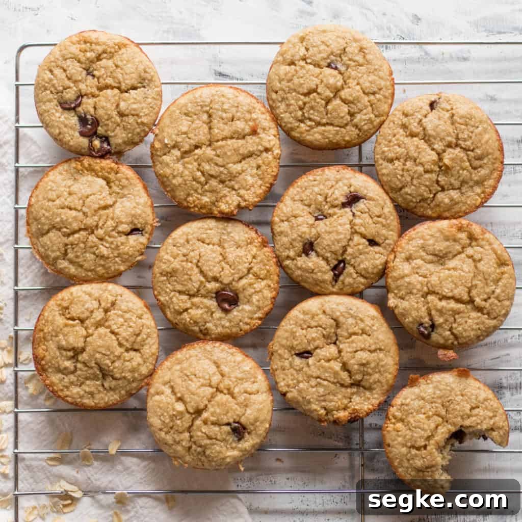 Blender Muffin Base Recipe: Make Muffin Batter in Minutes 3 a dozen blender muffins on cooling rack. One in bottom right corner has a bite taken out of it.