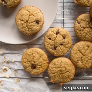 blender muffins with chocolate chips on a gray plate and a cooling rack